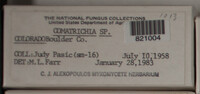 Image Associated With the Occurence